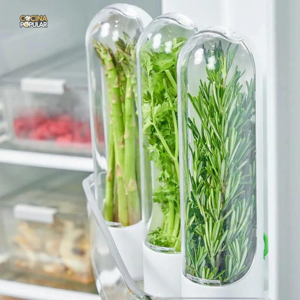 Contenedor para Hierbas Frescas - Cocina Popular - Cocina Popular